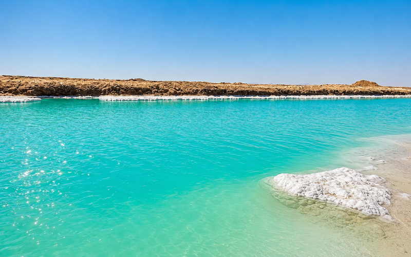 Al Wathba Salt Lake Water Looks Green