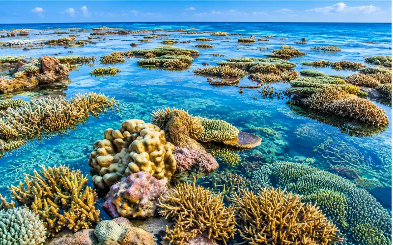 Umm Yifenah Island Enjoy the Coastal Views