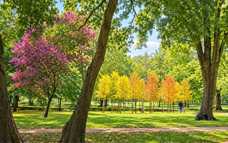 Al Rashidiya Park at Relax in the Green Areas
