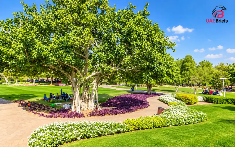 Al Rashidiya Park